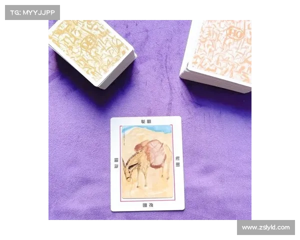 如何挑选适合你的最佳卡片组合 如何挑选适合你的最佳卡片组合