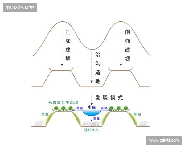 高原地区社会服务模式创新探析与实践路径研究 高原地区社会服务模式创新探析与实践路径研究