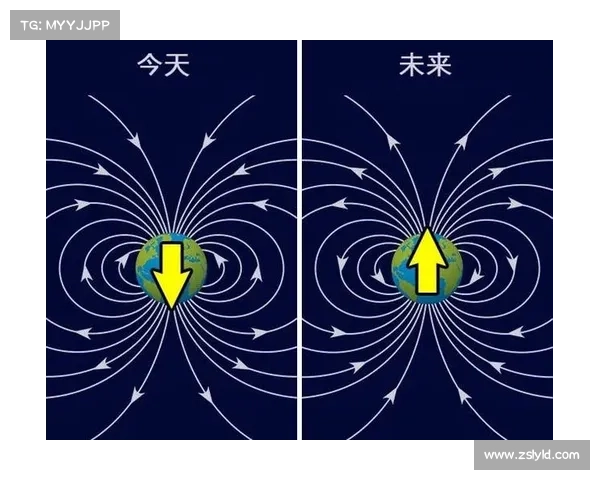 如何在网络世界中探寻无意义的奇观与文化现象的深层奥秘与本质