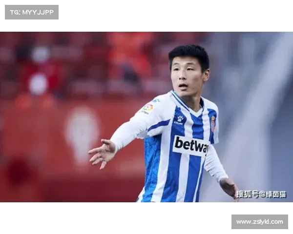 全面探讨武磊职业生涯多项纪录与其时代影响力的综合深度分析研究