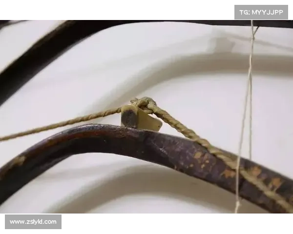 奥运会弓箭项目的历史演变与发展历程解析